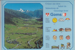 GOMS - SALUTATIONS - 1993 - Goms