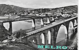 PORTUGAL-  Régua Ponte Sobre O Douro.w - Vila Real