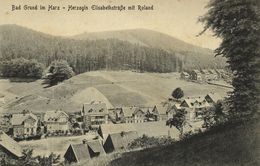 BAD GRUND Im Harz, Herzogin Elisabethstrasse Mit Roland (1910s) AK - Bad Grund