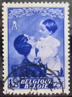 BELGIQUE               N° 453                 OBLITERE - Used Stamps