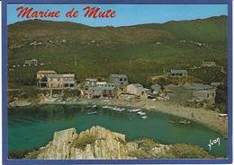 CPSM Corse 20 Circulé Marine De Mute - Other & Unclassified