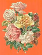 TRES GRAND CHROMO DECOUPIS  " Fleurs - Roses " - Bloemen