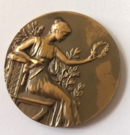 Médaille. En Reconnaissance Des 7 Anciens. C.R. L'Amicale Boondael - Ixelles. 1905 - 1955 - Professionals / Firms