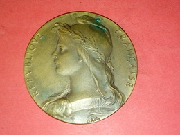 MEDAILLE REPUBLIQUE FRANCAISE PAR ROTY OFFERT PAR L.MEYER MAIRE DU HAVRE EN BRONZE DIAMETRE 50 Mm POIDS 51 Grammes - Otros & Sin Clasificación