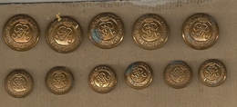 Lot De 11 Boutons Kings Own Royal Regt NY -canada - Buttons