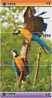 B02151 China Parrot Puzzle 3pcs - Papegaaien & Parkieten