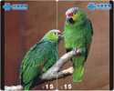 B02145 China Parrot Puzzle 2pcs - Loros