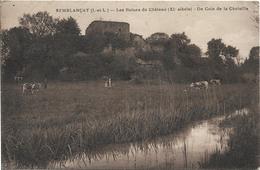 D37 - SEMBLANCAY - LES RUINES DU CHATEAU  (XIe SIECLE) - UN COIN DE LA CHOISILLE  - Femme:Homme:Enfant Et Vaches - Semblançay