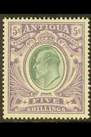 1903-07 5s Grey Green & Violet, SG 40, Very Fine Mint For More Images, Please Visit Http://www.sandafayre.com/itemdetail - Autres & Non Classés