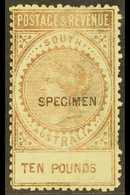 SOUTH AUSTRALIA 1886-96 £10 Bronze, Perf 11½-12, With "SPECIMEN" Overprint, SG 206as, Unused Without Gum. For More Image - Andere & Zonder Classificatie