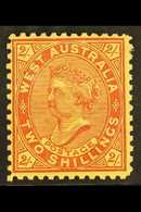 WESTERN AUSTRALIA 1902-11 2s Bright Red On Yellow, Perf. 11, SG 134, Fine Mint, Tiny Black Ink Spot At Tipper Left. For  - Other & Unclassified