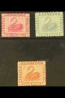 WESTERN AUSTRALIA 1888 Complete Set, SG 103/05, Fine Mint, Very Fresh. (3 Stamps) For More Images, Please Visit Http://w - Other & Unclassified