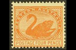 WESTERN AUSTRALIA 1902-11 4d Chestnut, Perf 12½, SG 119, Never Hinged Mint. For More Images, Please Visit Http://www.san - Other & Unclassified