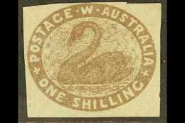 WESTERN AUSTRALIA 1854-55 1s Grey- Brown Imperf., SG 4b, Unused As Issued With 4 Close To Large Square Margins. Fresh An - Andere & Zonder Classificatie