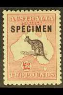 1915-27 £2 Black And Rose Kangaroo With "SPECIMEN" Overprint, SG 45s, Very Fine Mint. For More Images, Please Visit Http - Andere & Zonder Classificatie
