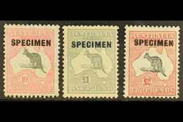 1931-36 10s, £1, And £2 Kangaroo's With "SPECIMEN" Overprints Set, SG 136s/138s, Fine Mint. (3 Stamps) For More Images,  - Andere & Zonder Classificatie