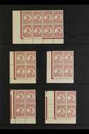 1945 MINT 2S KANGAROO MULTIPLES. An Attractive Selection Of The redrawn 2s Maroon Kangaroo (SG 212), With Imprint Corner - Other & Unclassified