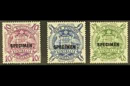 SPECIMENS 1948-56 10s, £1 & £2 high Values, Overprinted "SPECIMEN," SG 224bs/ds, Never Hinged Mint (3 Stamps). For More  - Autres & Non Classés