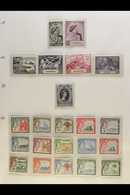 1945 - 1975 FRESH MINT COLLECTION Highly Complete Mint Collection In Hingeless Mounts On Pages Being NHM From 1961 On An - Gambia (...-1964)