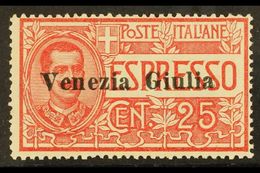 VENEZIA GIULIA 1919 25c Red Express, Sass 1, Very Fine Never Hinged Mint. Signed Sorani. Cat €450 (£340) For More Images - Unclassified
