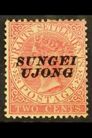 NEGRI SEMBILAN 1885 2c Pale Rose Overprinted "Sungei Ujong", Type 23, SG 38, Very Fine Mint. For More Images, Please Vis - Andere & Zonder Classificatie