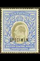 1903-04 £10 Grey And Blue Opt'd "SPECIMEN", SG 67s, Mint Part OG, Very Fresh And Attractive. For More Images, Please Vis - Nyassaland (1907-1953)
