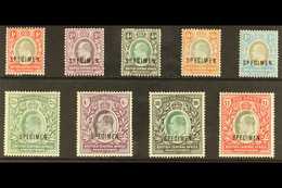 1903-04 Set Complete Opt'd "SPECIMEN", SG 59s/66s, Mint Part OG, Very Fresh & Attractive (9 Stamps) For More Images, Ple - Nyassaland (1907-1953)