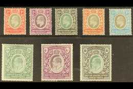 1903-04 Set To 10s, SG 59/65, Very Fine Mint. (8 Stamps) For More Images, Please Visit Http://www.sandafayre.com/itemdet - Nyassaland (1907-1953)