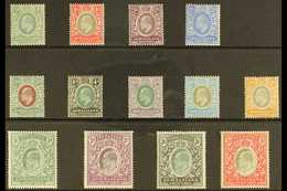 1904 KEVII Complete Definitive Set, SG 32/44, Fine Mint, 3r With A Light Crease. (13 Stamps) For More Images, Please Vis - Somaliland (Protectorat ...-1959)