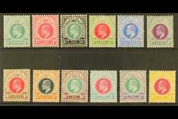 NATAL 1902-03 Set To 4s (less 2s.6d), SG 127/139, Very Fine Mint. (12 Stamps) For More Images, Please Visit Http://www.s - Non Classés