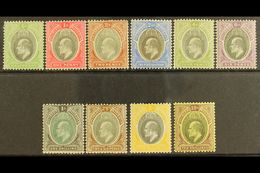 1903-04 Watermark Crown CA Definitive Set Complete To 10s, SG 10/19, Fine Mint. (10 Stamps) For More Images, Please Visi - Nigeria (...-1960)