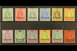 1907-11 Definitives Set Complete Overprinted "SPECIMEN", SG 33s/44s, Very Fine Mint (12 Stamps) For More Images, Please  - Nigeria (...-1960)