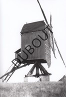 Geel Molen/Moulin Originele Foto Jaren '70 B9 - Geel