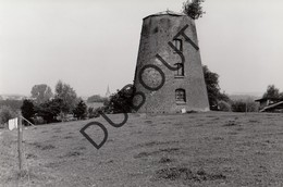 Opbrakel Molen/Moulin Originele Foto B13 - Brakel