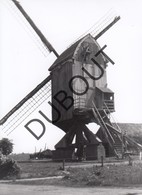 Zittaart Molen/Moulin Originele Foto Jaren '70  B19 - Meerhout