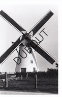 Beveren - Ijzer Molen/Moulin Foto Jaren '70  B24 - Alveringem