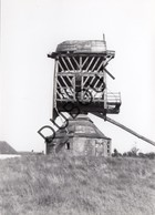 Pulle Molen/Moulin  Foto Jaren '60 B27 - Zandhoven