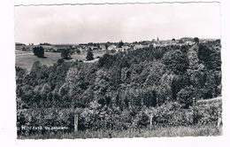 B-6873   PETIT-FAYS : Vue Panoramique - Bièvre