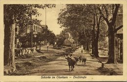 SCHIERKE Im Oberharz, Dorfstrasse (1910s) AK - Schierke