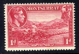 Montserrat 1938 - 48 KGV1  1d Carmine Sea Island Cotton MM SG 102 ( T90 ) - Montserrat