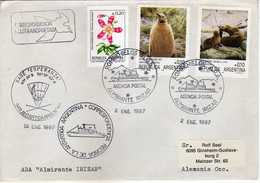 Antartiques - Argentina Letter - TRANSPORTE POLAR ARA Base ,,ESPERANZA".1987. HELITRANSORTADA - Penguins - Storia Postale