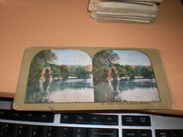 Palm Garden Frankfort Germany - Stereoscopes - Side-by-side Viewers