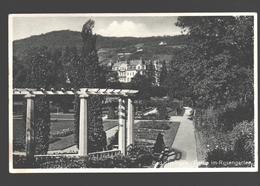 Bad Kissingen - Partie Im Rosengarten - Fotokarte - Bad Kissingen