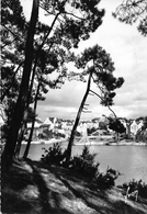 Delcampe - ¤¤   -  AURAY   -   Le Bono  -  Le Port   -   ¤¤ - Auray