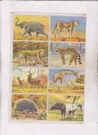 PLANCHE DE 16 FIGURINES D ANIMAUX DESSINES - Other & Unclassified