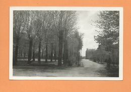 Carte  -  Coulonges Sur L'Autize (Deux Sèvres ) - Avenue De La Gare - Coulonges-sur-l'Autize