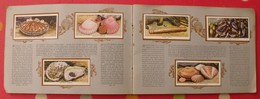 Album D'images Cigarette Pictures Wills's. En Anglais. Sea-shore, Mer. 1935. 50 Chromo - Sammelbilderalben & Katalogue