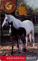 TARJETA TELEFONICA DE HUNGRIA. LOVAK: LIPICAI, CABALLOS - HORSES. HU-P-2002-05. (063) - Horses