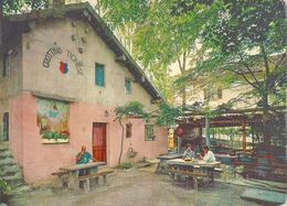 Losone - Grottino Ticinese        1983 - Losone