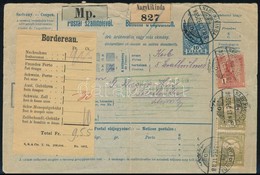 1905 Vámkezelt Teljes Postai Szállítólevél Nagykikindáról Bécsen át Svájcba, Ritka! / Complete Parcel Card Via Vienna To - Sonstige & Ohne Zuordnung